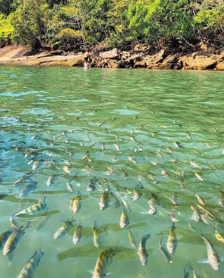 Pousada Recanto Som Do Mar Caraguatatuba Eksteriør billede